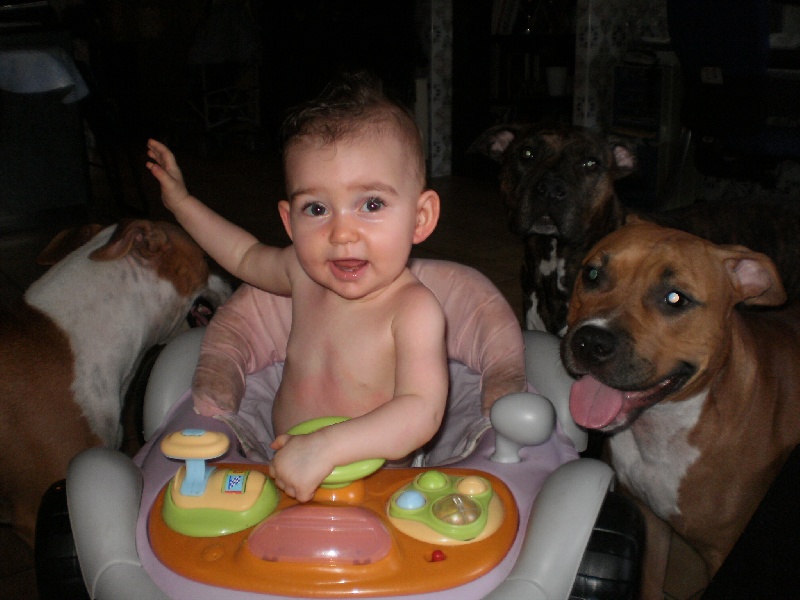 l enfant et nos chiens
